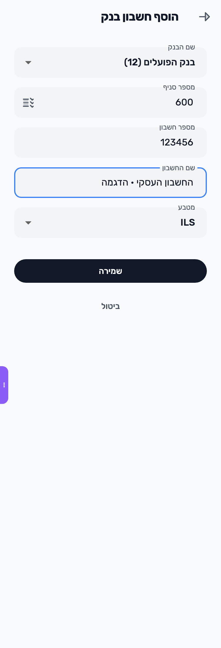 מסך Lynxbe: בודקים את פרטי החשבון נתוני הדגמה.